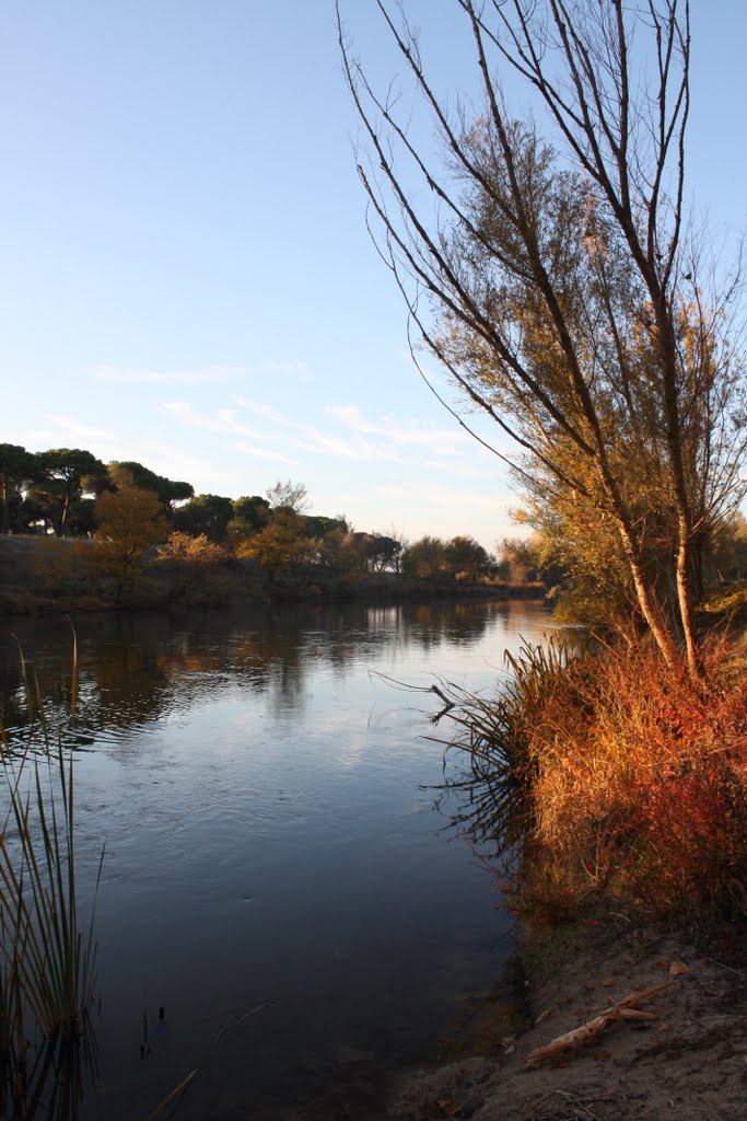 Otoño 2010 - Puente Duero by cricra