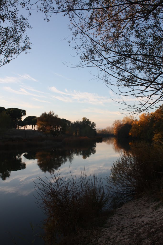 Otoño 2010 - Puente Duero by cricra