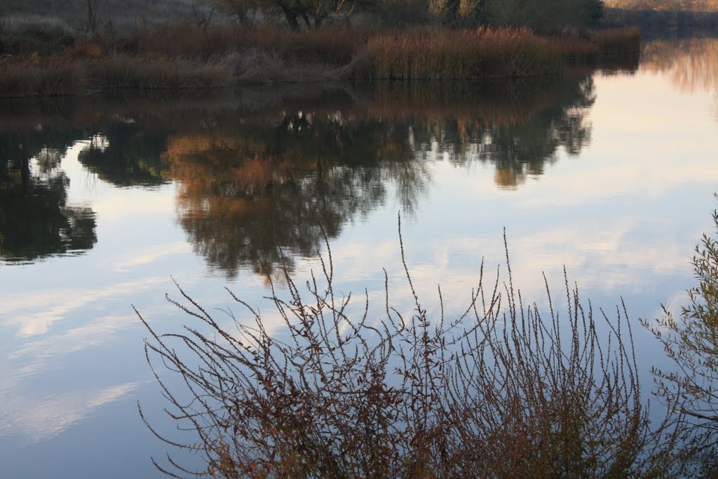 Reflejos otoñales by cricra