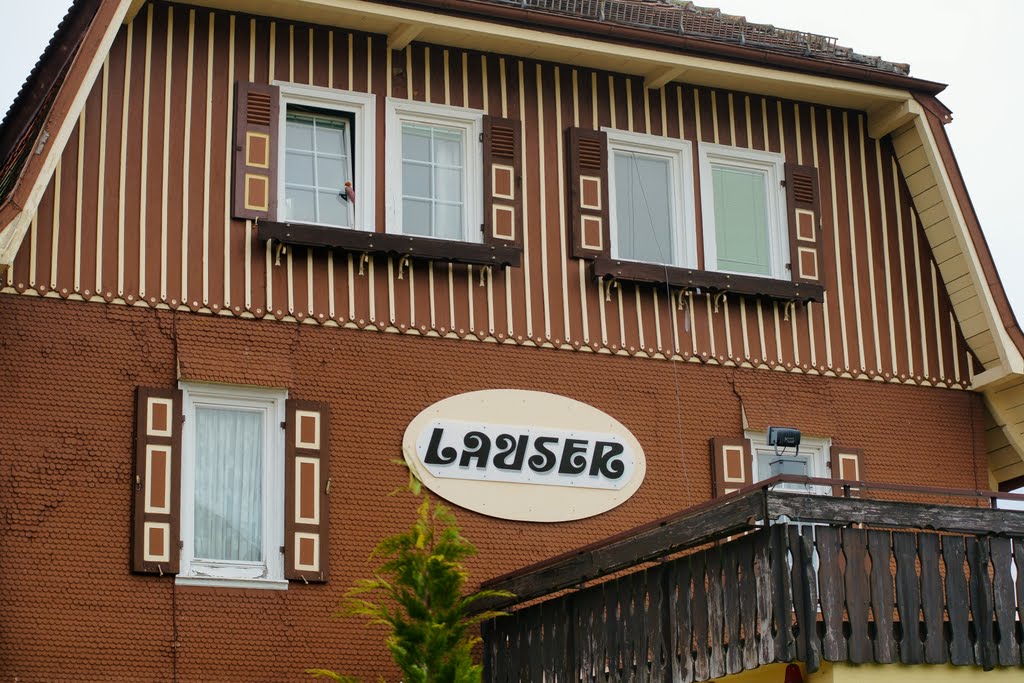 LAUSER by © DerSIGGY