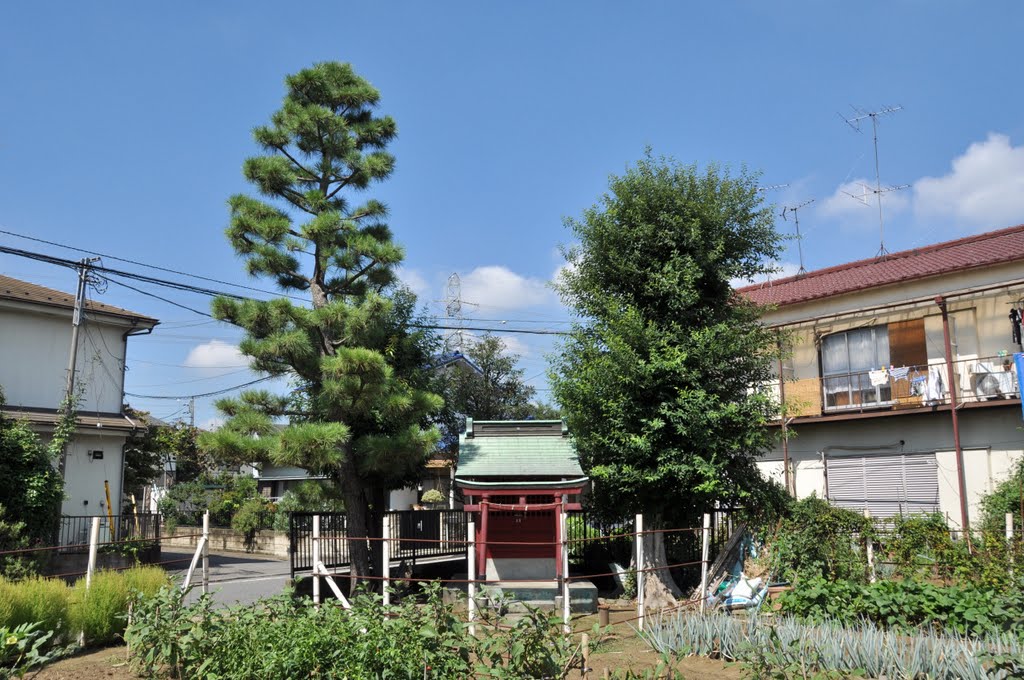 Inari-Jinja 稲荷神社 (2010.09.17) by k.takita