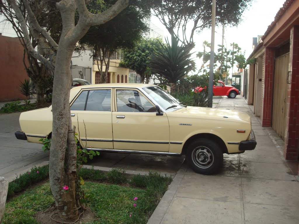 Calle 4 Urbanizacion Salaverry Magdalena Del Mar Lima Perú by La Limeña