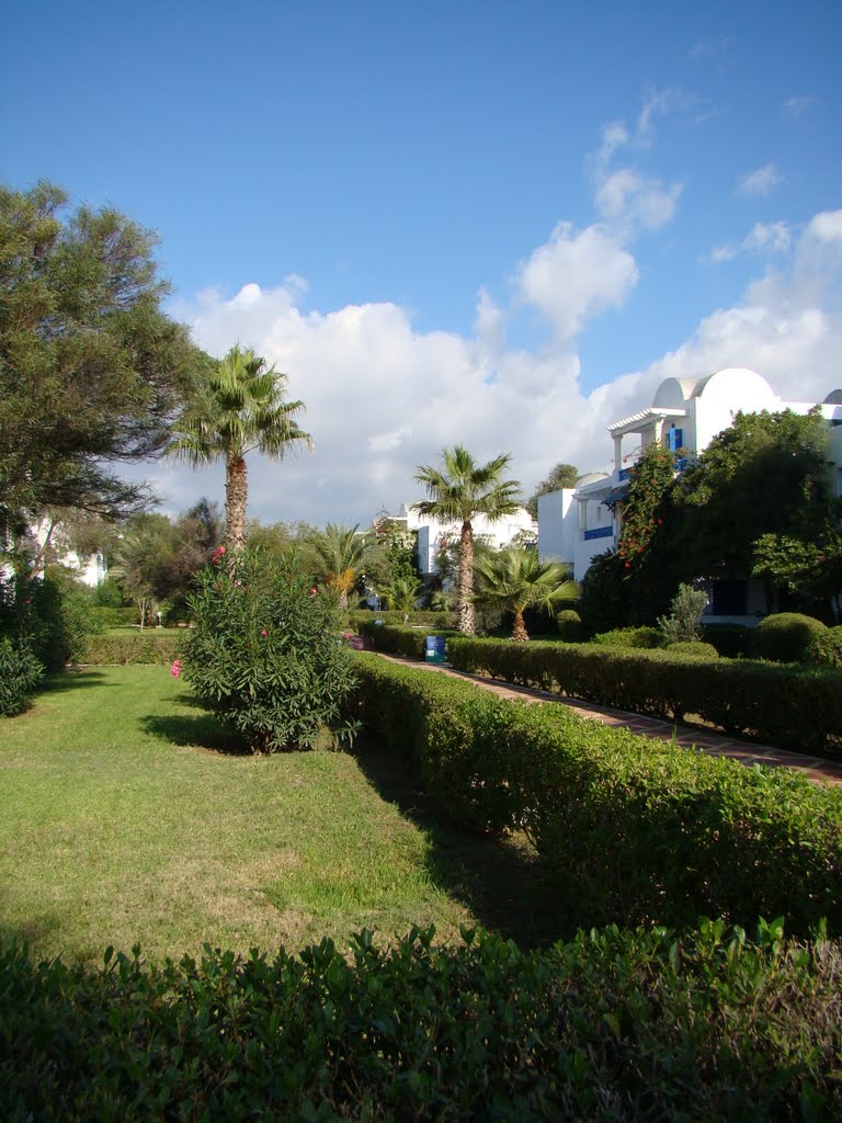 Jardin de l'hôtel salambo by TOM TOM