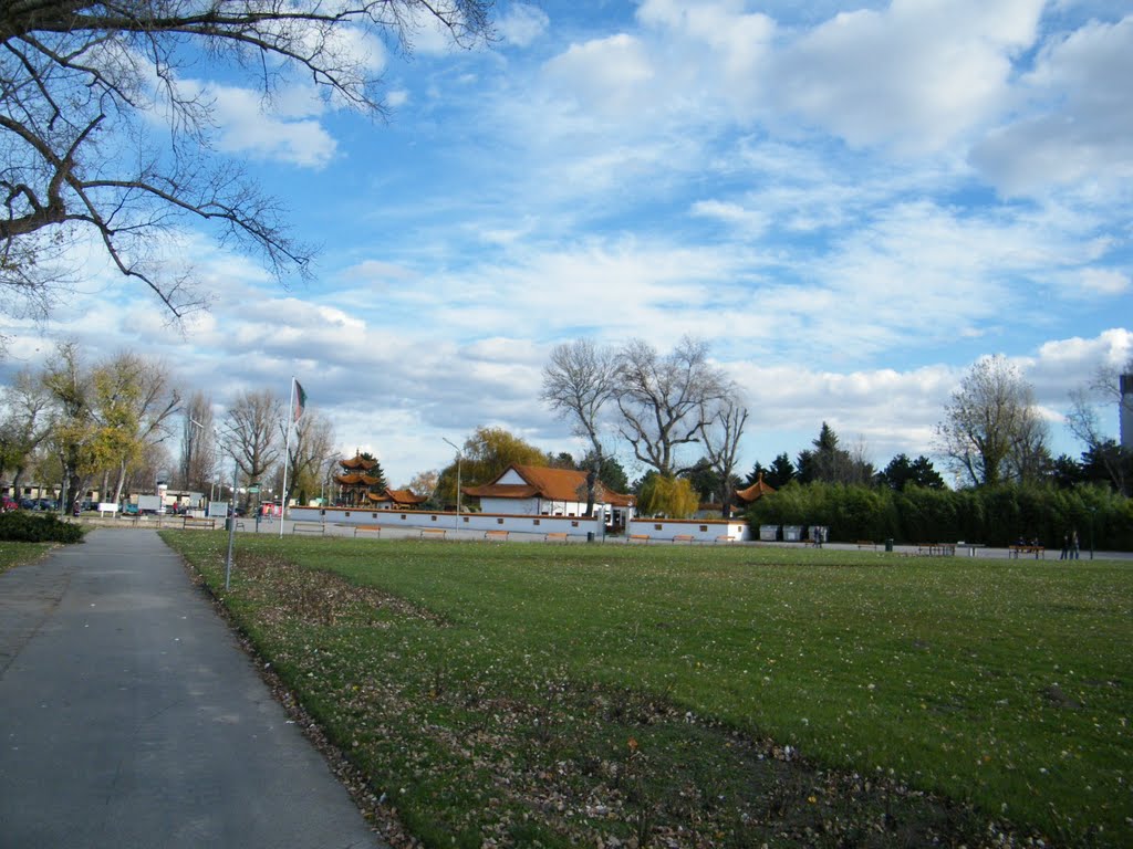 PARK JAPOŃSKI by (-: