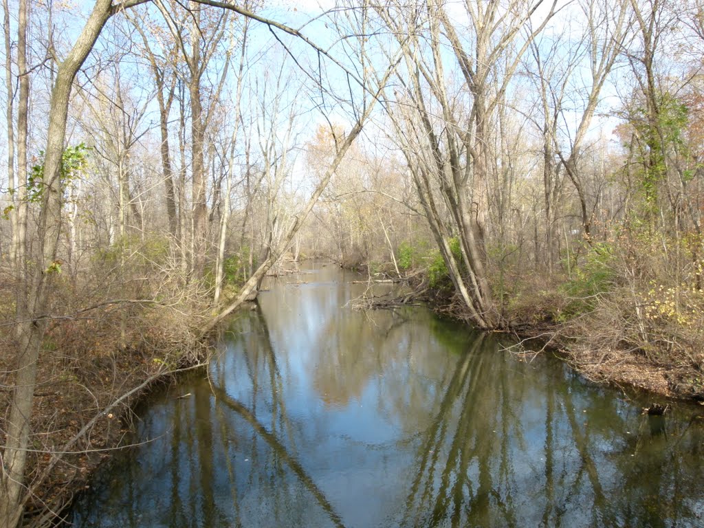 Dowagiac River by Roger Pedat