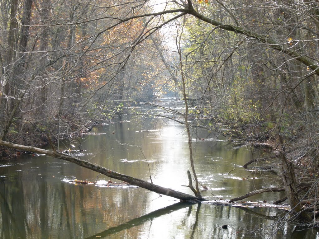 Dowagiac River by Roger Pedat