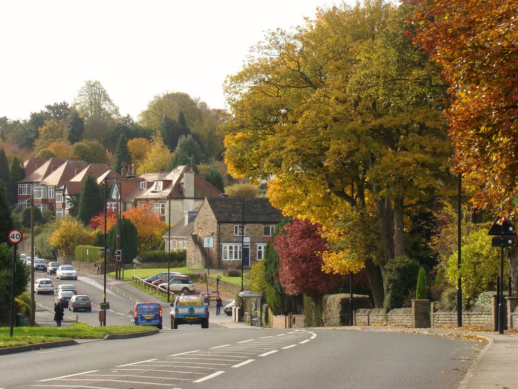 Looking due south along Ecclesall Road South in autumn, Sheffield S11 by sixxsix