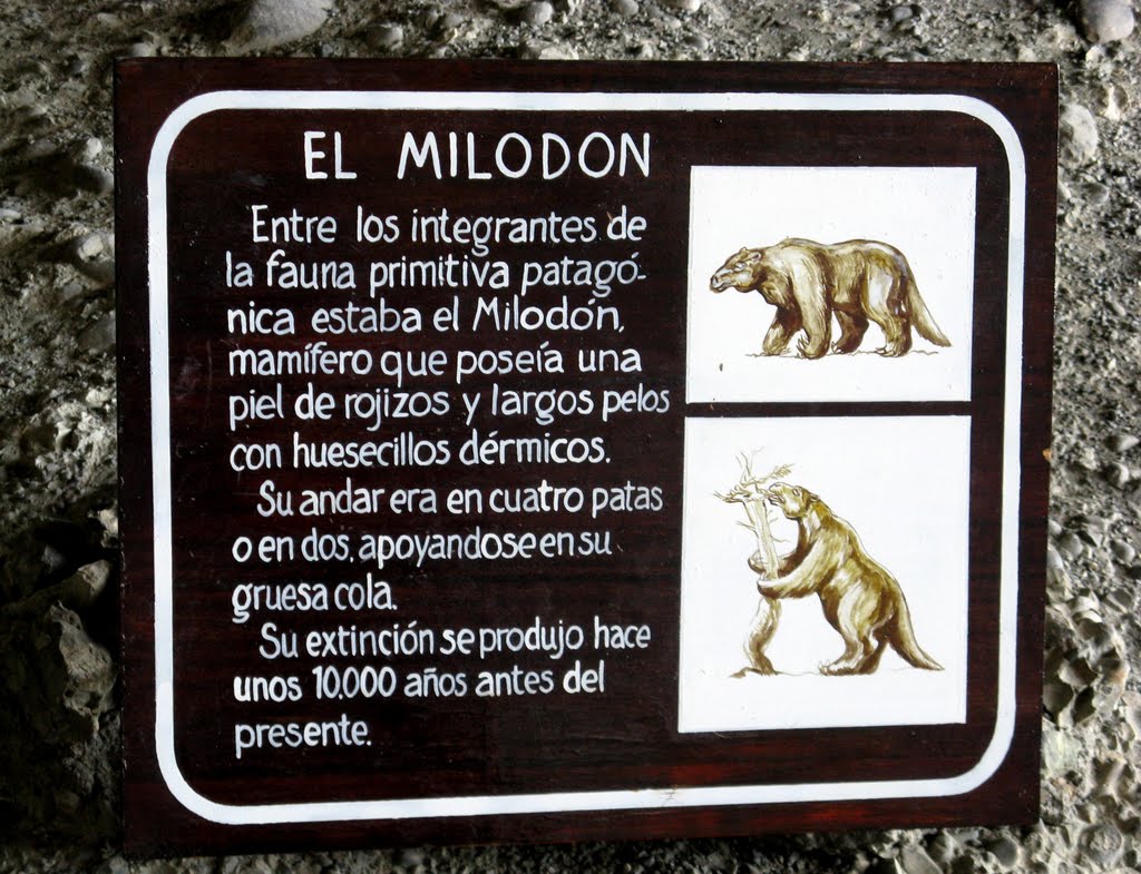 Monumento Nacional Cueva del Milodon - XII Región, Chile. by André Bonacin