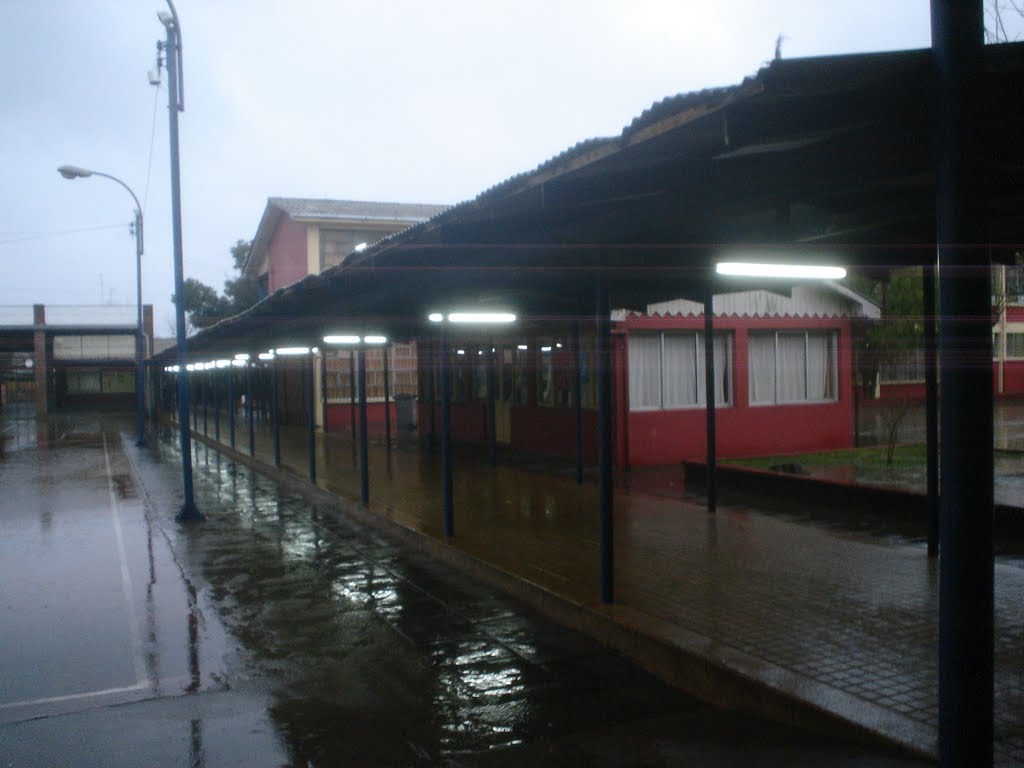 Colegio La Paz by juanfco76