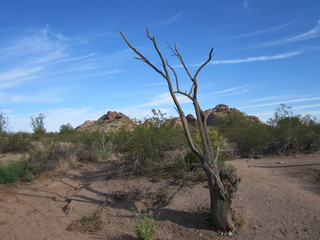 Papago Park Buttes by C Johnstun