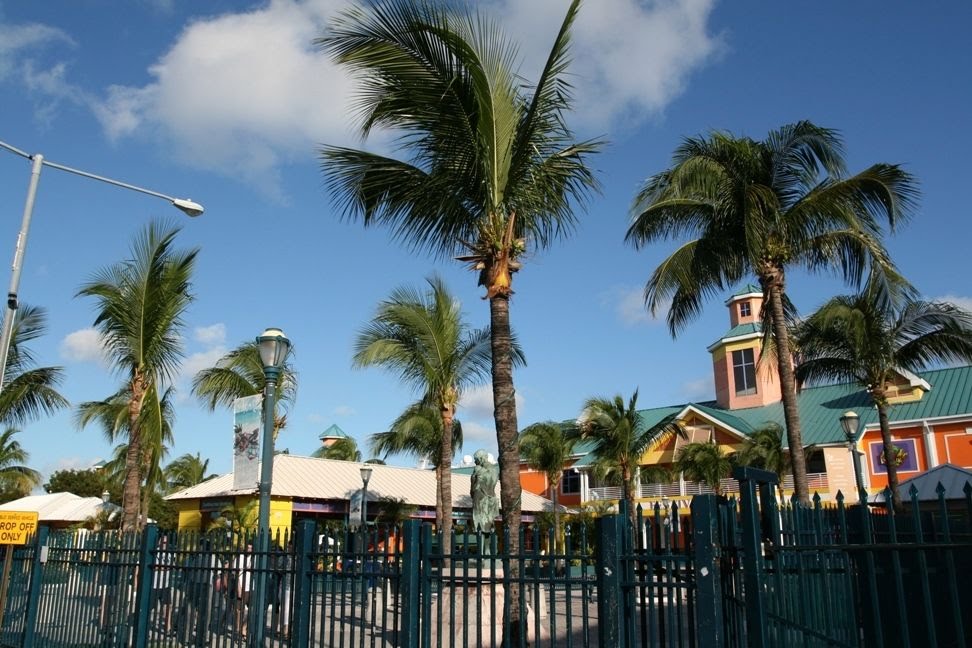 Palms Nassau Bahamas by commtom