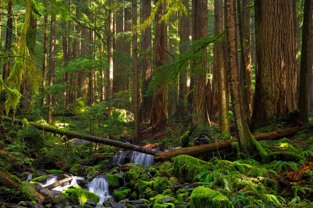 Port Angeles, WA, USA by Greg Timm