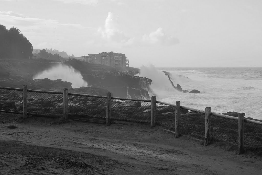 Waves Crashing into the Oregon Coast by C. Harmon