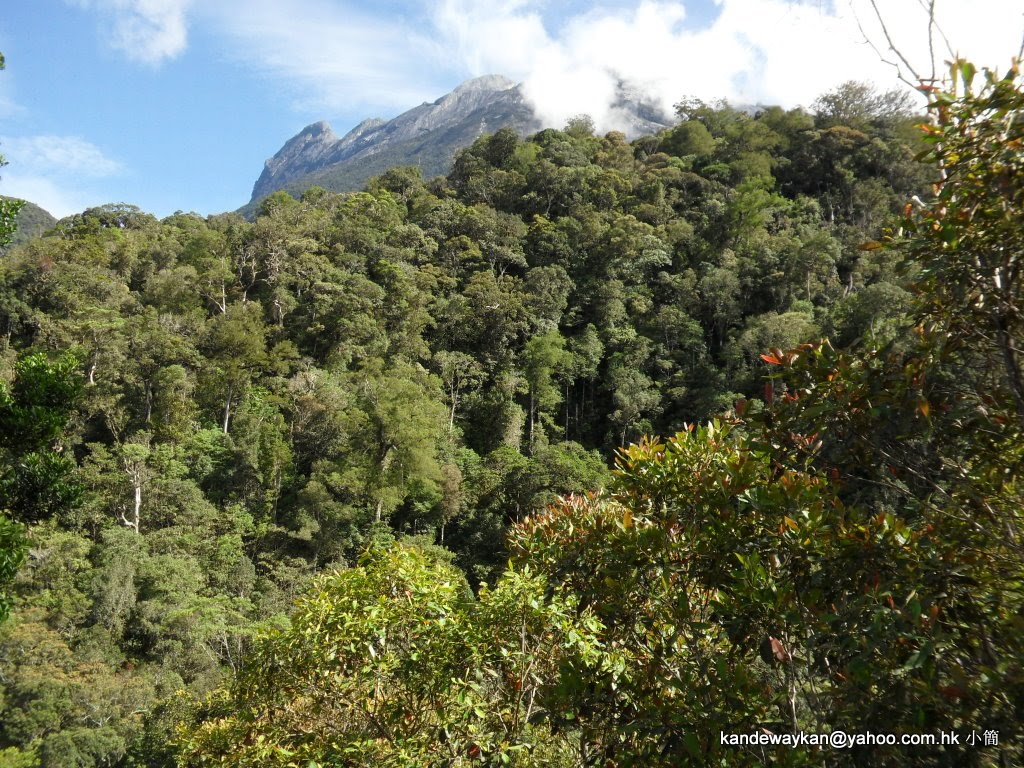 東馬來西亞沙巴洲神山留影Kinabalu Park, Ranau by KAN PAI WAI