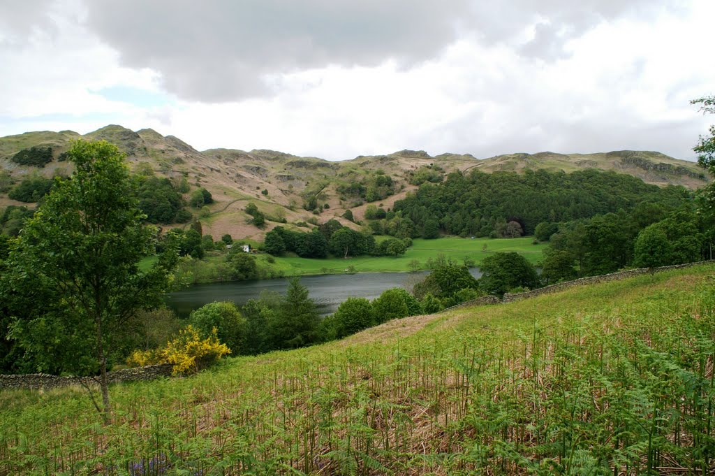 Nr Elterwater Cumbria by Franco Sanna