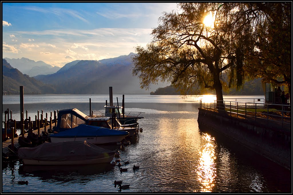 Herbst am Sarnersee by Martin Kristiansen