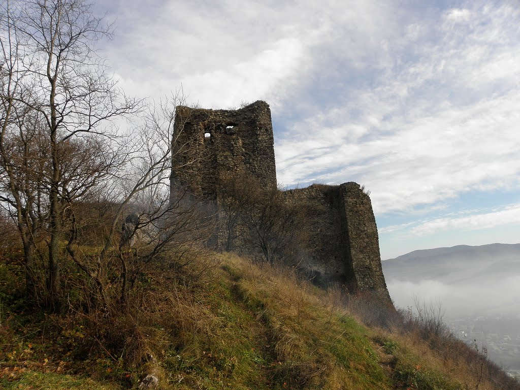 Ruin of Kapušany castle by popenka