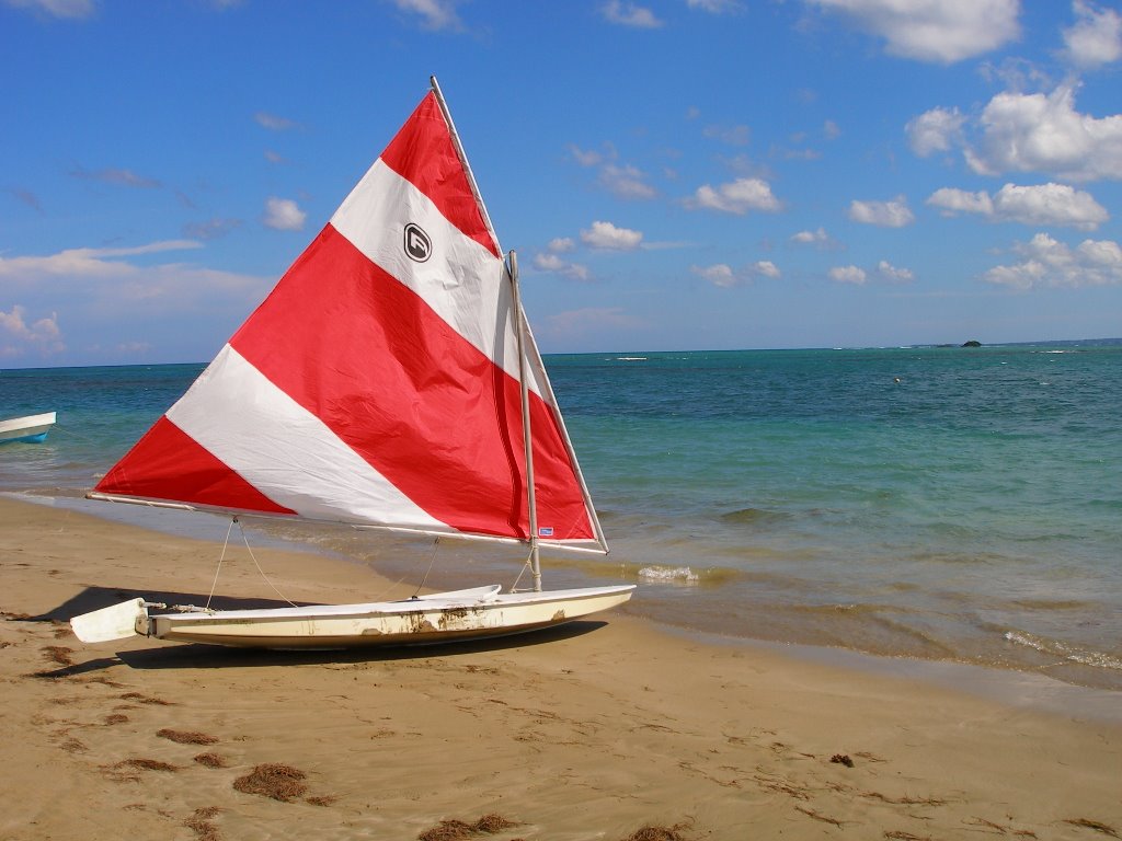 Playa Dorada Beach by icepickel