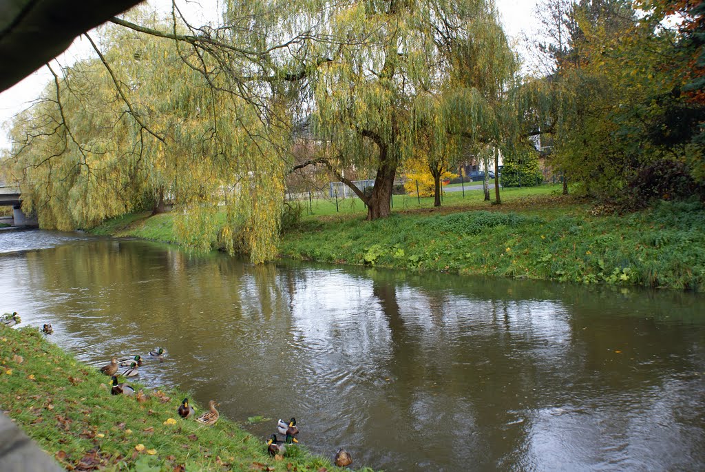 Herbst an der Hönne by keucher