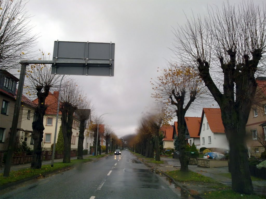 Worbis - Duderstädter Straße by Renato Pietsch