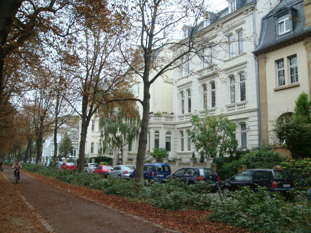 Weststadt, Bonn, Germany by Alex Chang