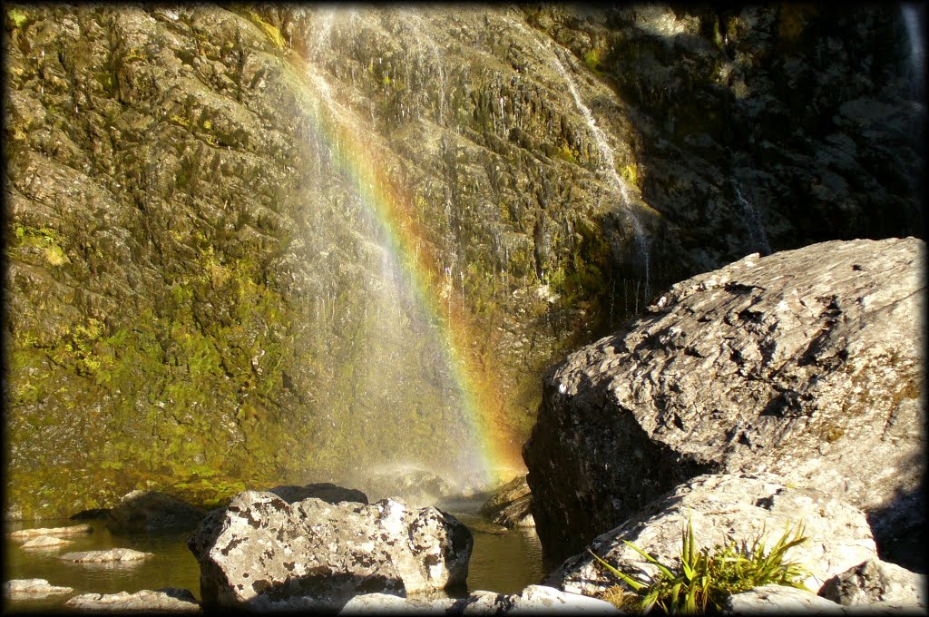 Earland Falls, Routeburn Falls by Aleš Srogončík