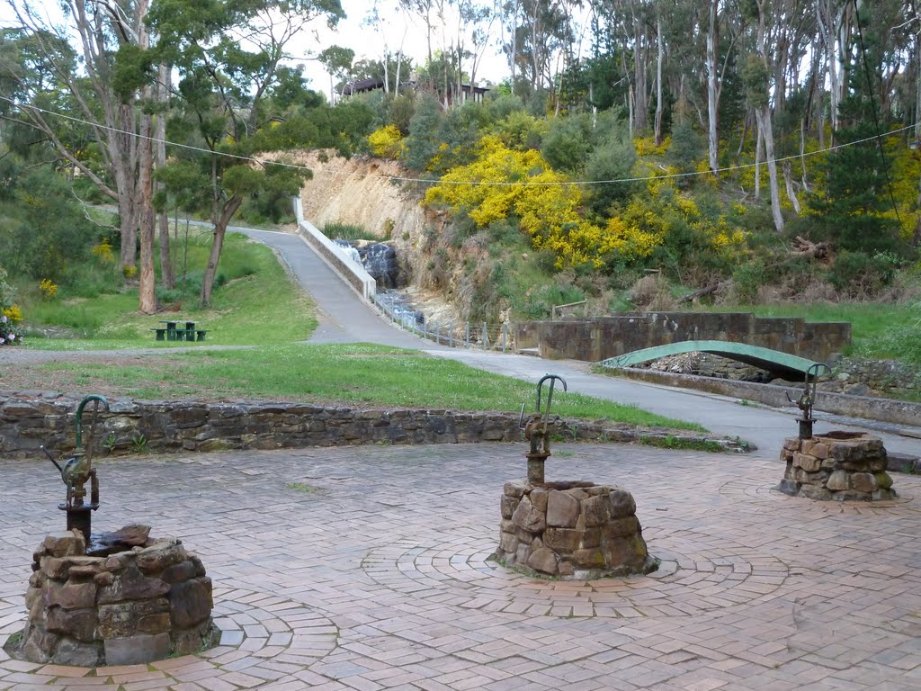 3 Mineral Springs With Waterfall in Background by Goldfish