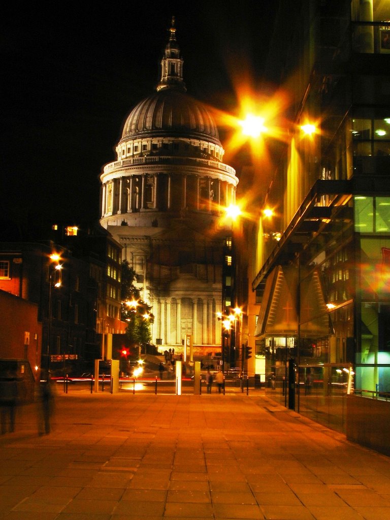 St Pauls Cathedral at Night by Brian Nielsen