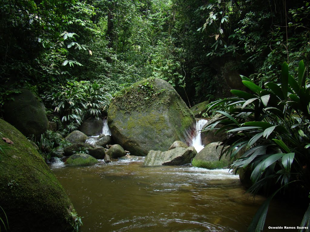 RIO MAS ALLA DE PASO HONDO by Oswaldo Ramos Suárez