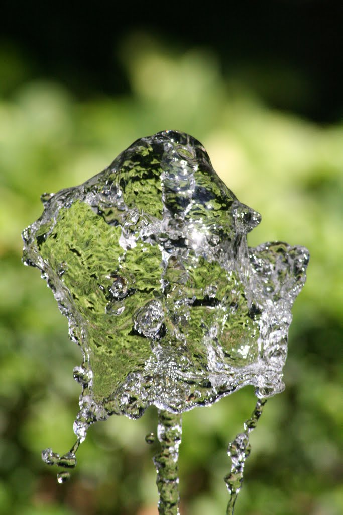 Fountain in La Concepción, Malaga by racedk