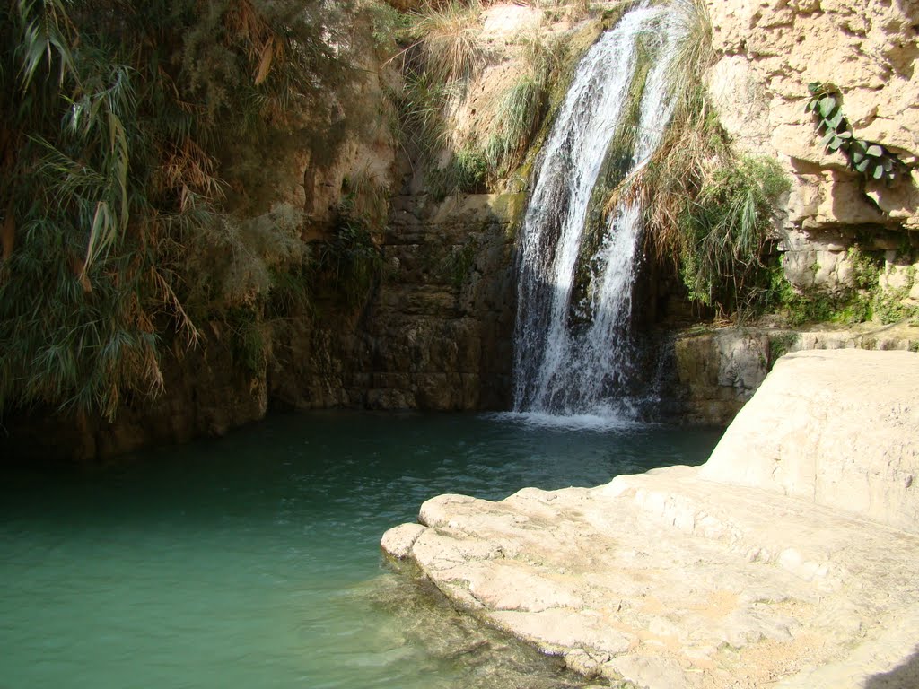 Dead Sea Region, Israel by serstef