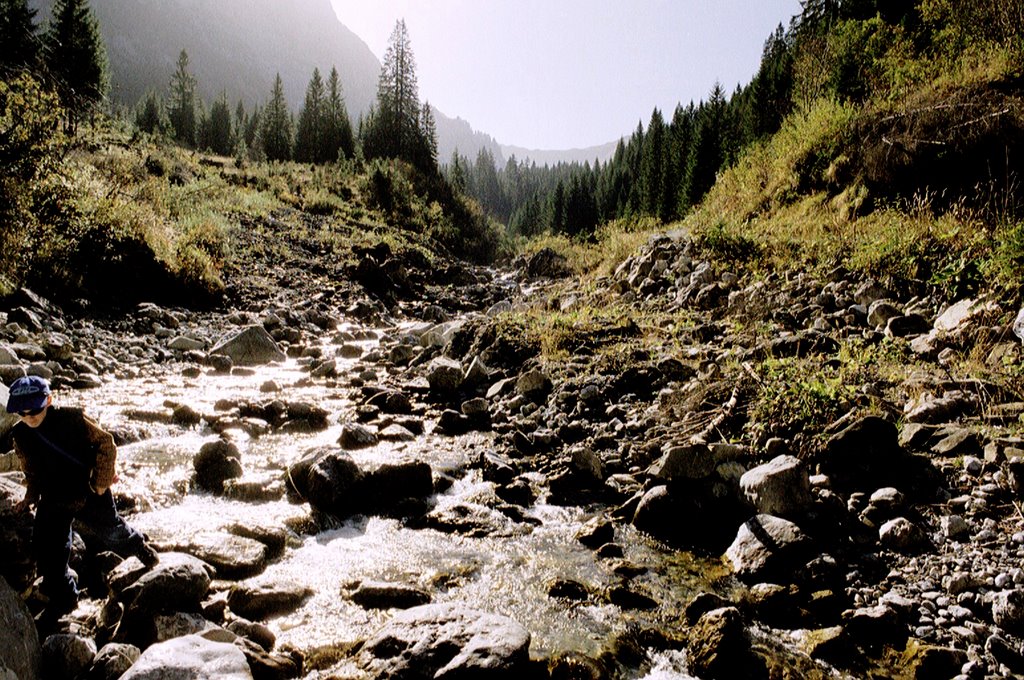 Frühling im Kleinwalsertal - Bärgundbach by Elch