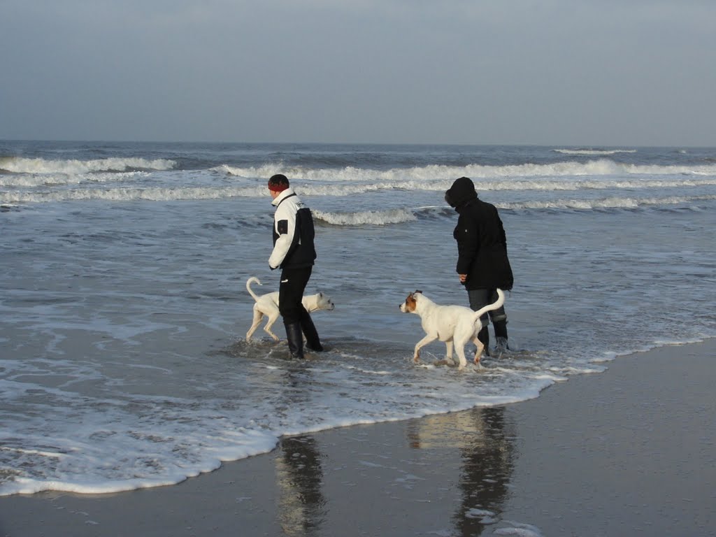 Nordsee / Hvide Sande by Böcky