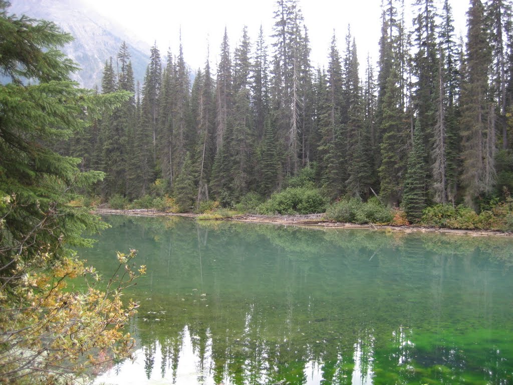 Emerald Lake by mylord62