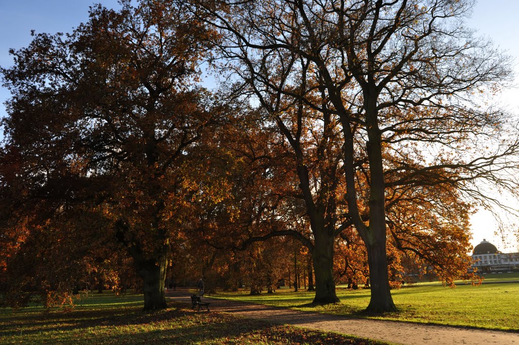 Bürgerpark by Annette Luehsen