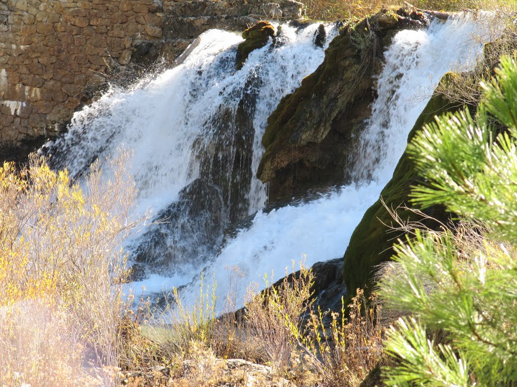 Parque Natural del Alto Tajo,Salto de Poveda. by Asenvi