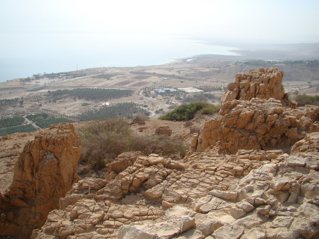 Dead Sea Region, Israel by serstef