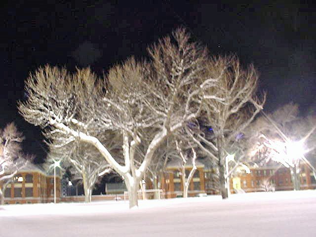 2006 Winter Blizzard at Fort Lyon Correctional Facility by ecopark