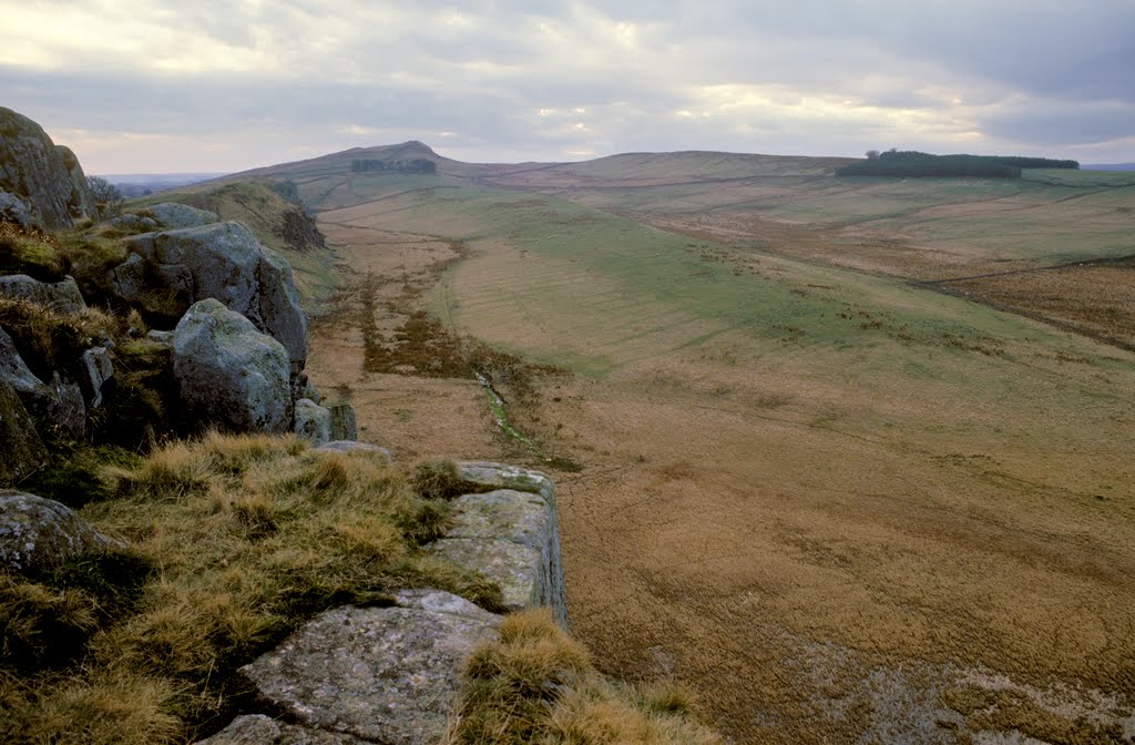 Hadrian's Wall near Crag Lough, Northumberland by welshio