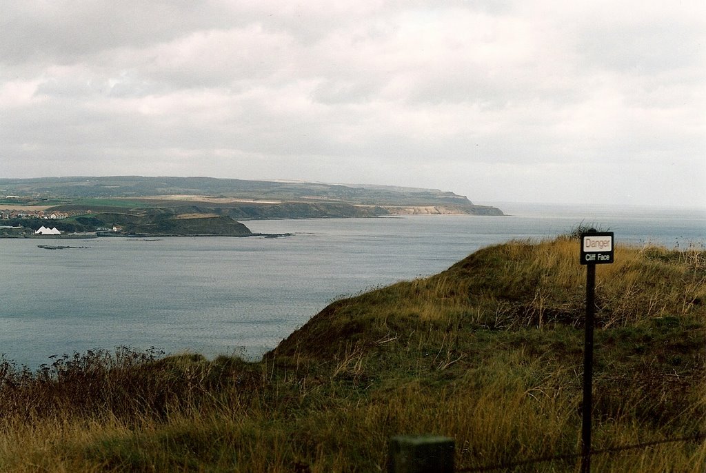 1991 from Castle Hill looking north by Paul Nechkova-Raven