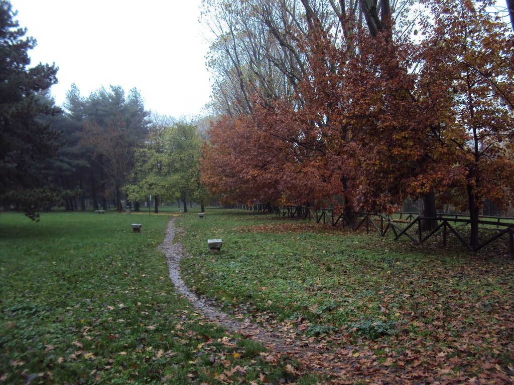 Legnano - Parco Castello - Colori a novembre by PJ Hooker