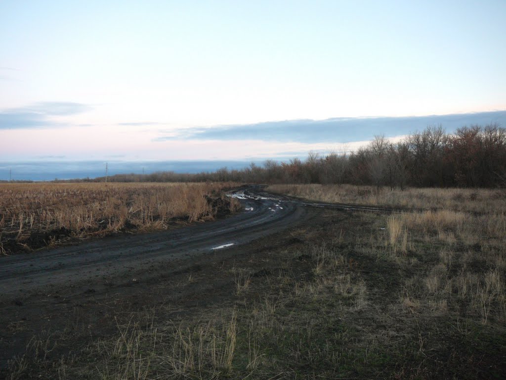 Saratovsky District, Saratov Oblast, Russia by Тюлин Денис