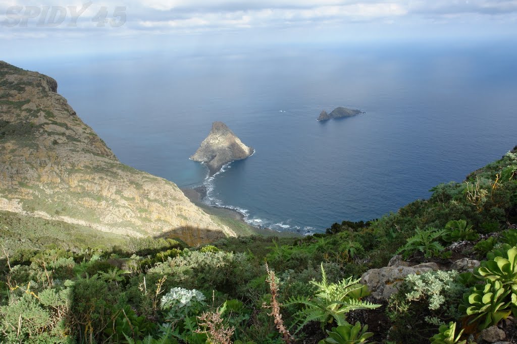 ROQUES DE ANAGA DESDE TAFADA by spidy45 spidy45