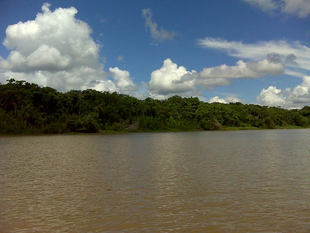 A medio camino entre Tucupita y San Fco. de Guayos by Oscar González B.