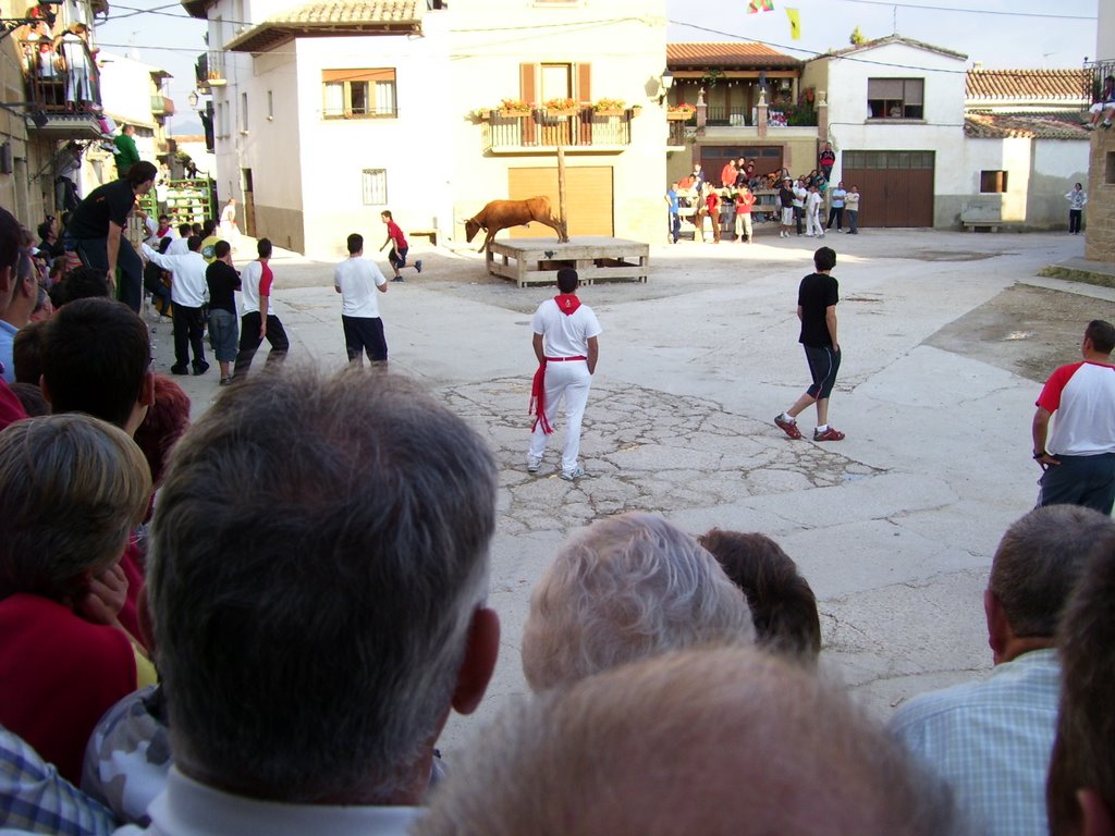 Bull fight in Obanos by roland49sdh