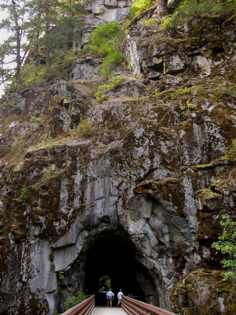 Othello Tunnel Looking in by Diana0