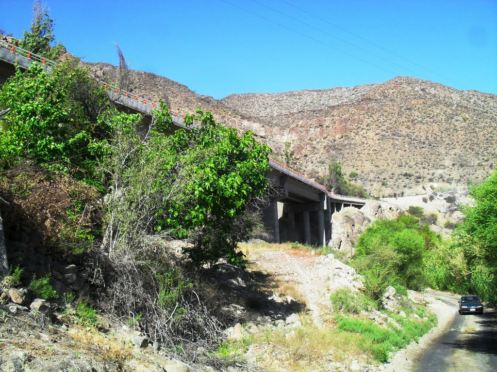 Puente "La Verbena" by Rene Ossandon Pizarr…