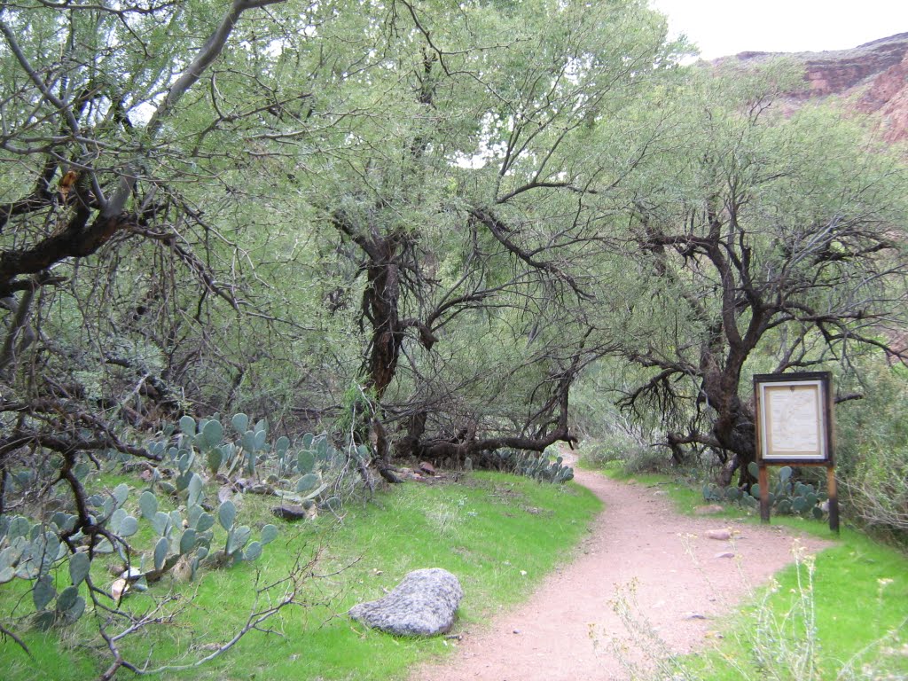 Northern Entrance to Phantom Ranch by pkethridge