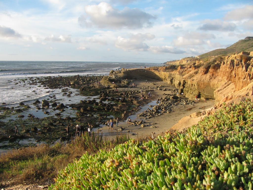 Tidepool Area, Cabrillo, San Diego, CA by Eva Pataki