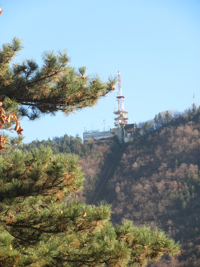 Panorama Brasov-Tampa-Telecabina by Popescu Vicentiu